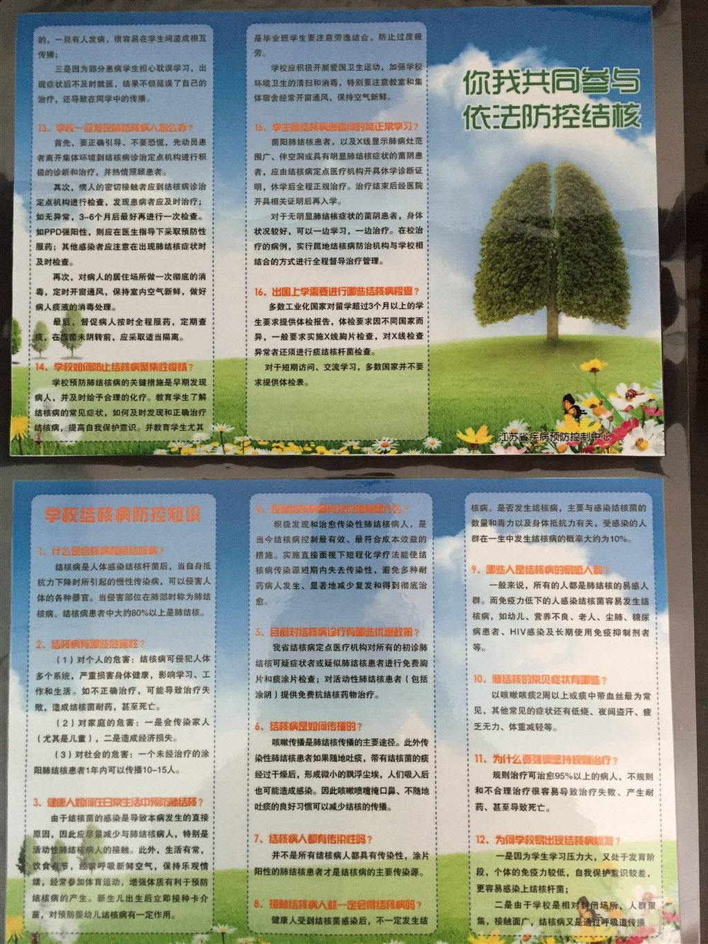 结核病防控知识.jpg