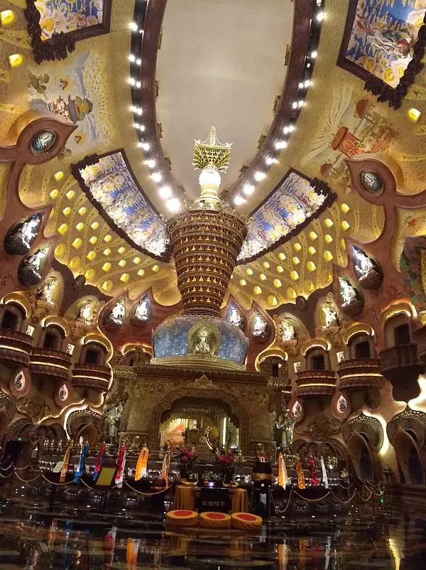 p40564040.webp.jpg