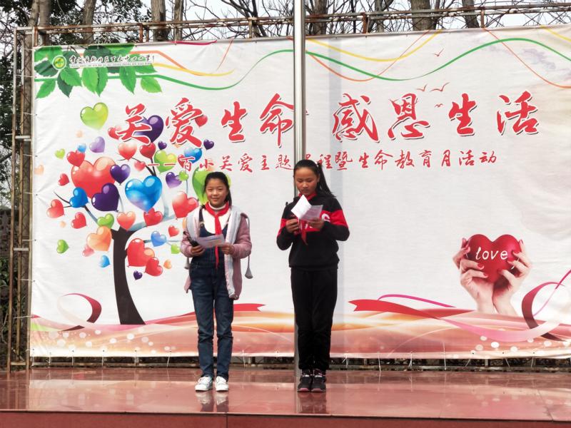双击打开大图