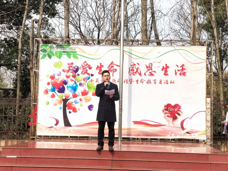 双击打开大图