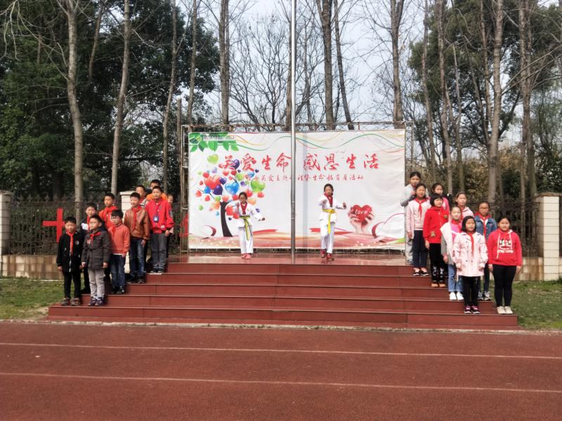 双击打开大图