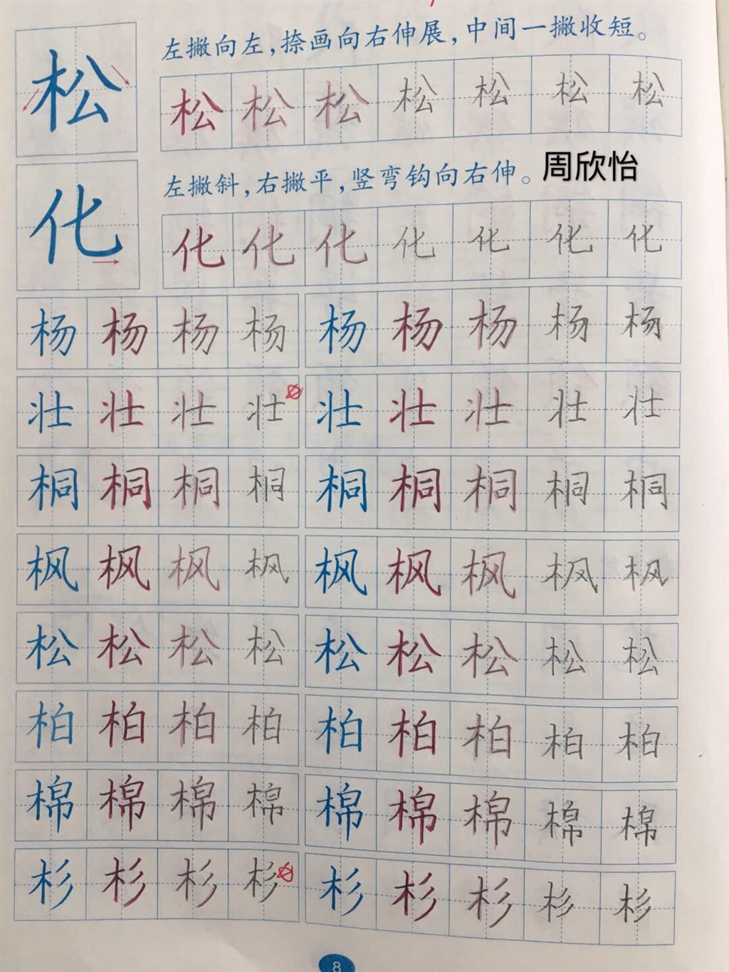 5.JPG