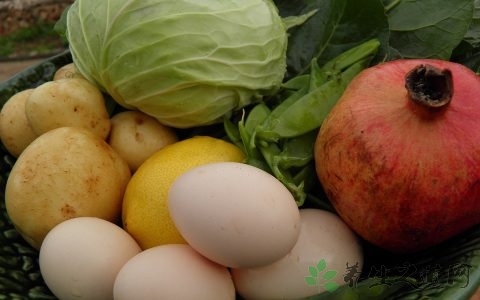 幼儿健康饮食小常识 幼儿健康饮食小常识