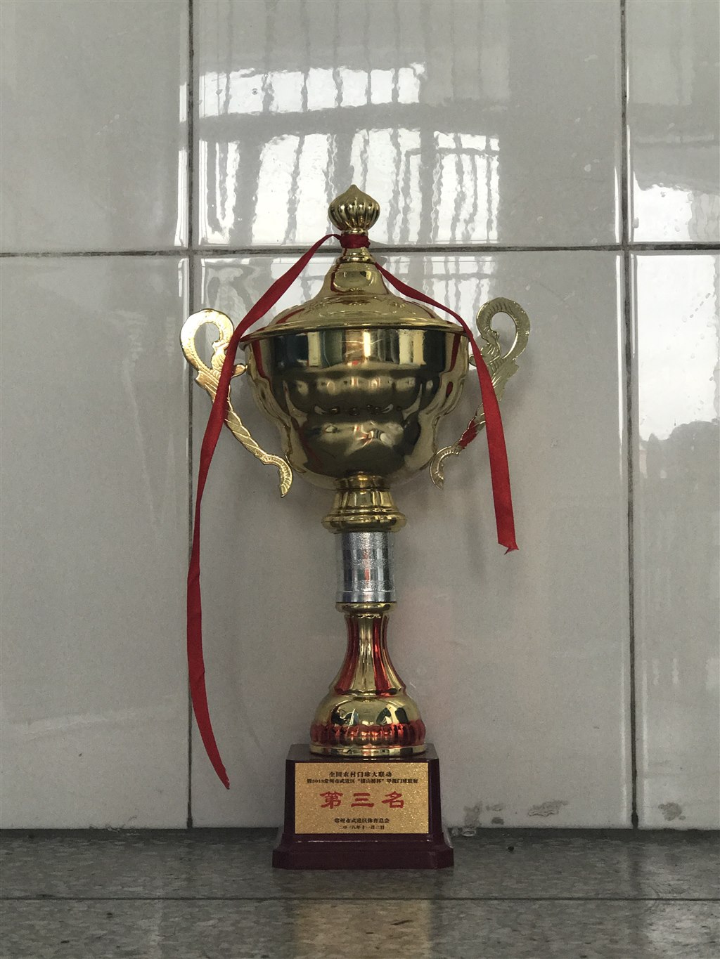 2018年“横山桥杯”甲级门球联赛第三名.JPG