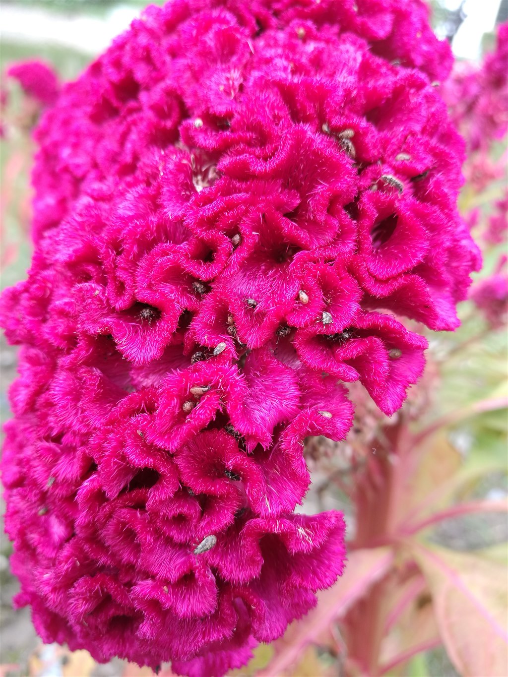 20170929_134555.jpg