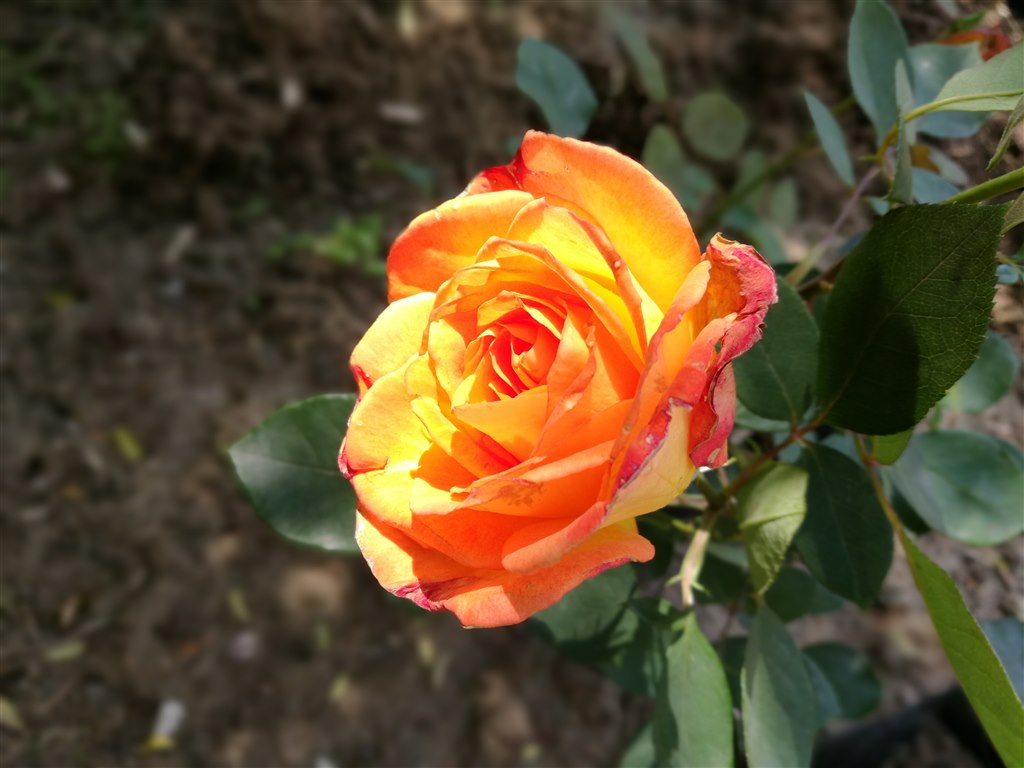_100629.jpg