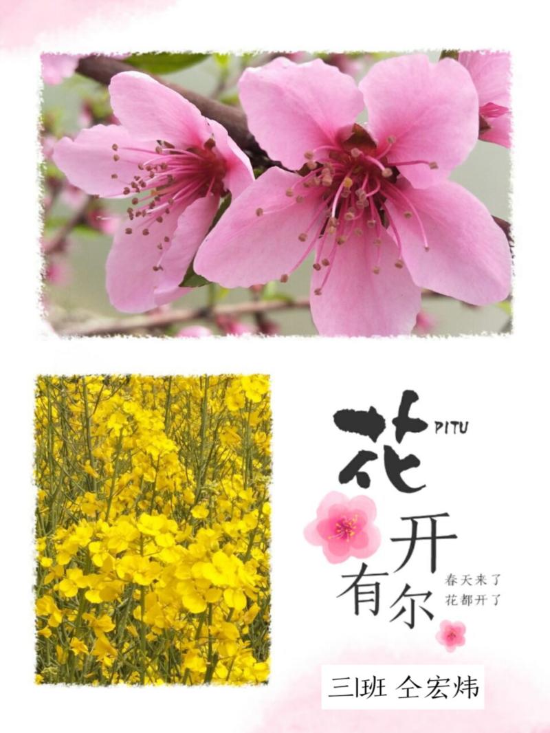 双击打开大图