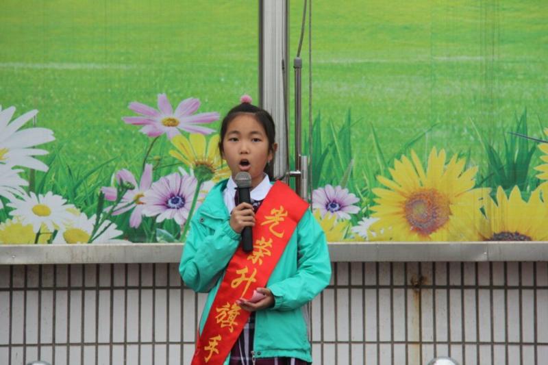 双击打开大图