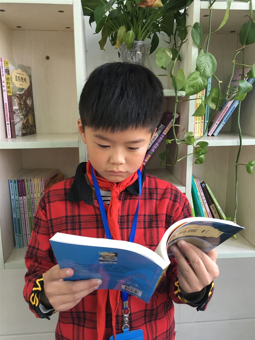 QQ图片20181122215619.jpg