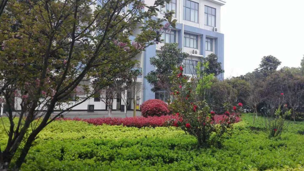 窗外美景.jpg