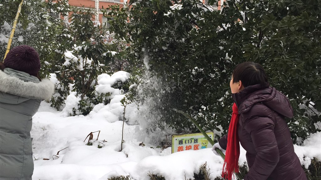 微信图片_20180210093922.jpg