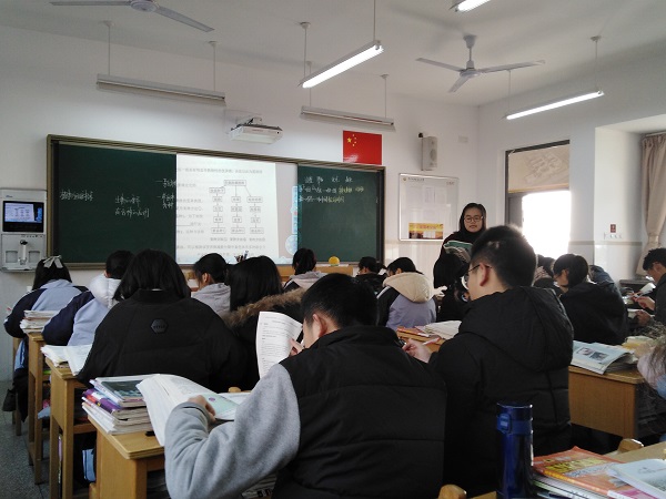 张2.jpg