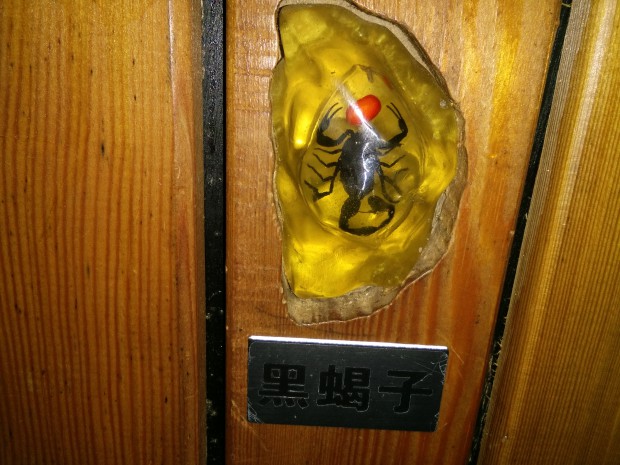 秋游3.jpg