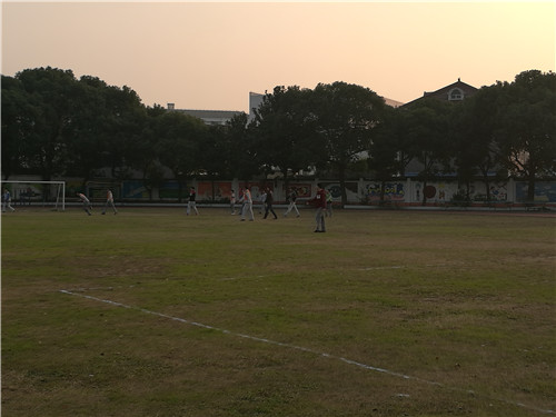IMG_20161216_160429.jpg