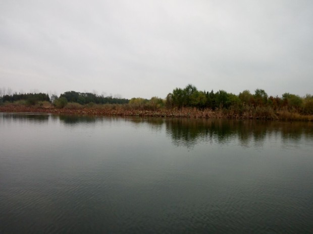 秋游1.jpg