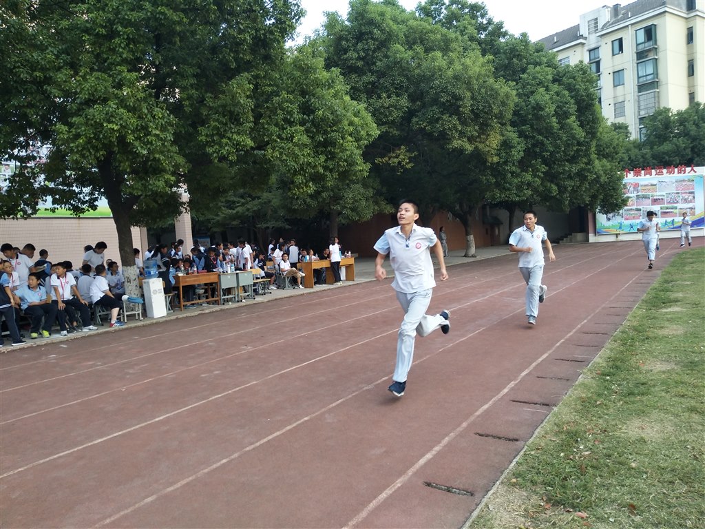 IMG_20180929_151203.jpg