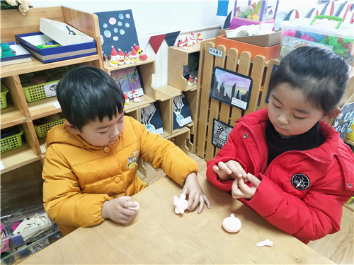 IMG_20190108_101450.jpg