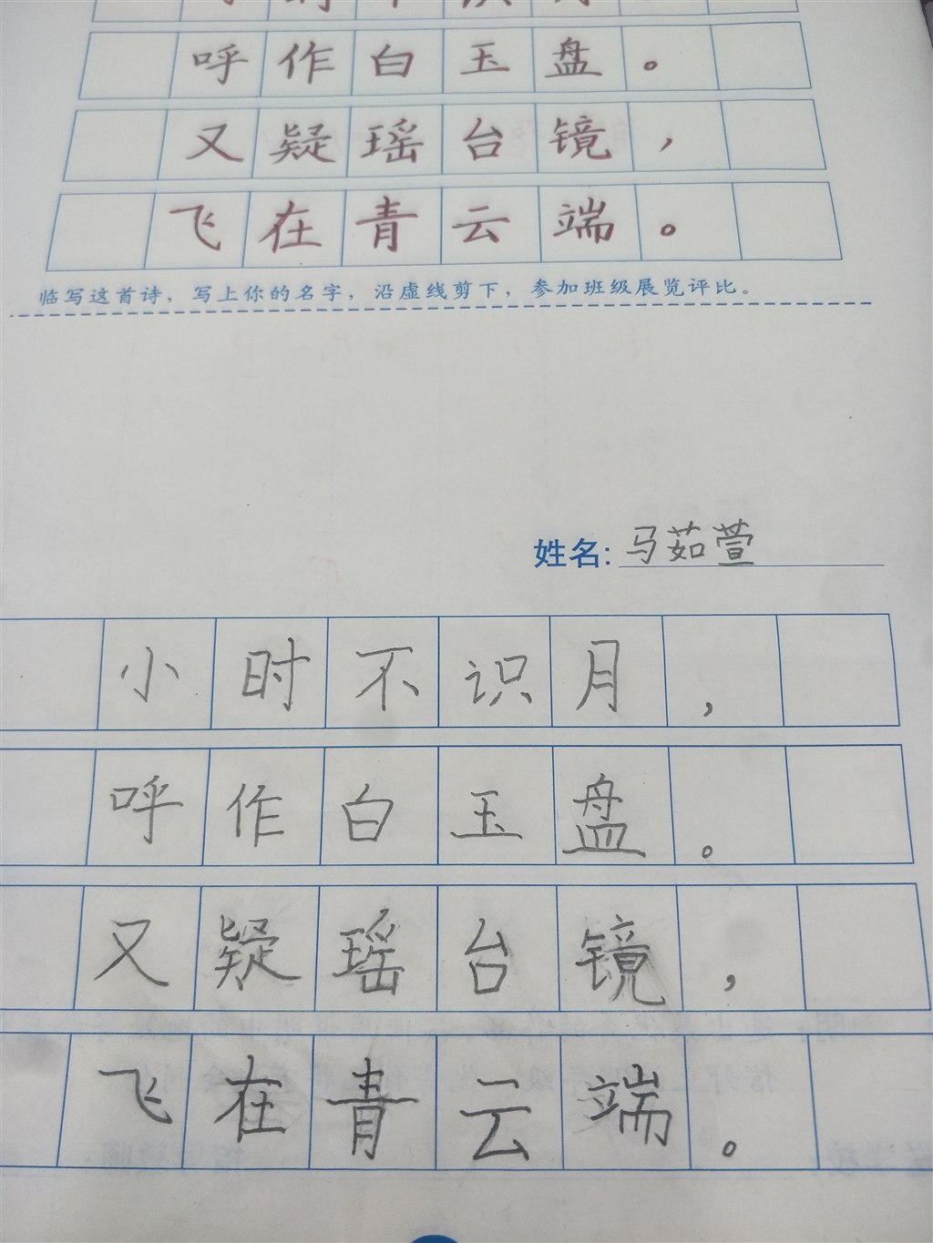 IMG20190108094604.jpg