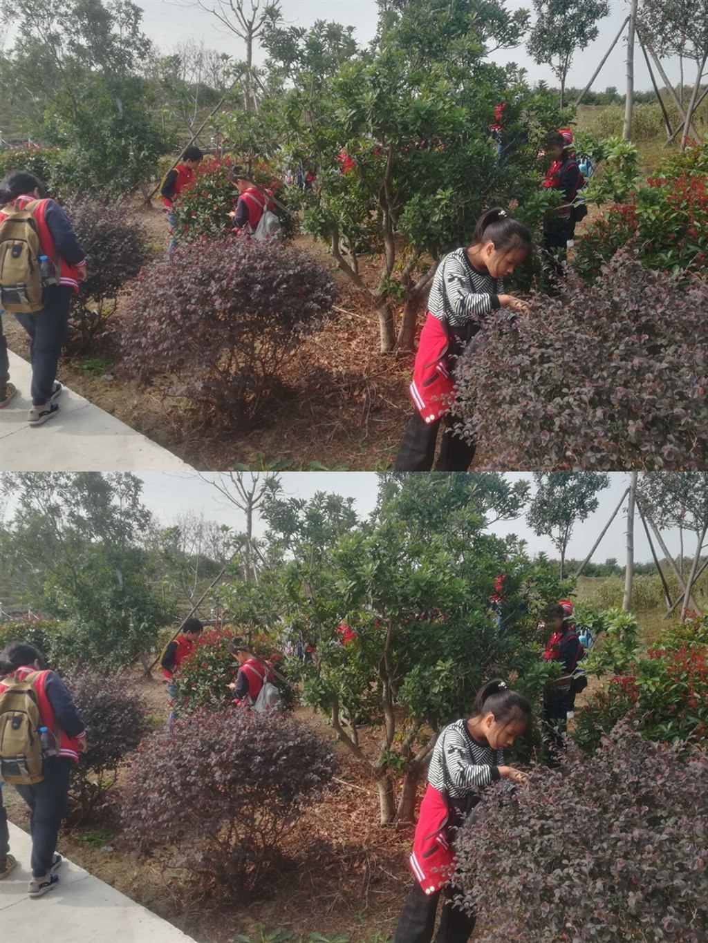 pt2019_01_10_14_41_05.jpg