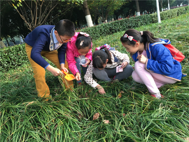 QQ图片20151123132655.jpg