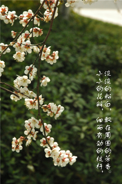 周思含２.JPG