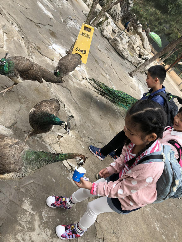 1522574296903366.png ͼƬ2.png