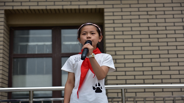 1528117111105750.jpg DSC_2833.jpg