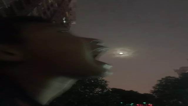 6403.webp.jpg