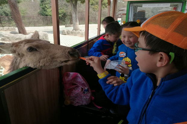 1522574289540264.jpg ͼƬ1.jpg