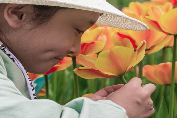 1522574310125738.jpg ͼƬ7.jpg