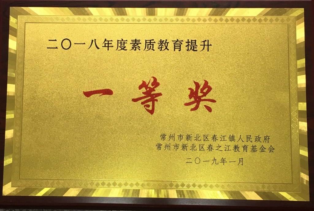 2018年度素质教育提升一等奖.jpg
