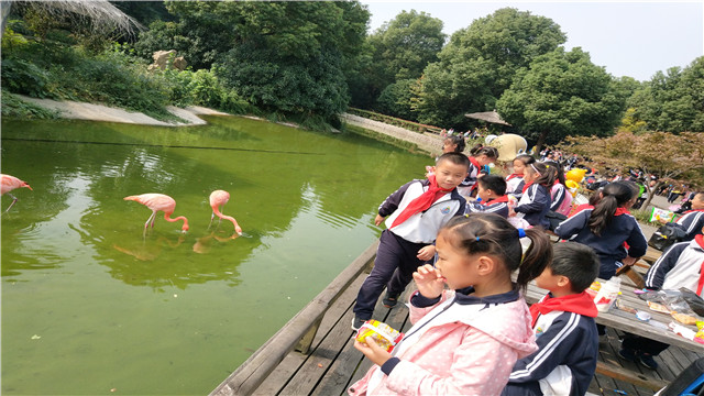 IMG_20181023_113419.jpg