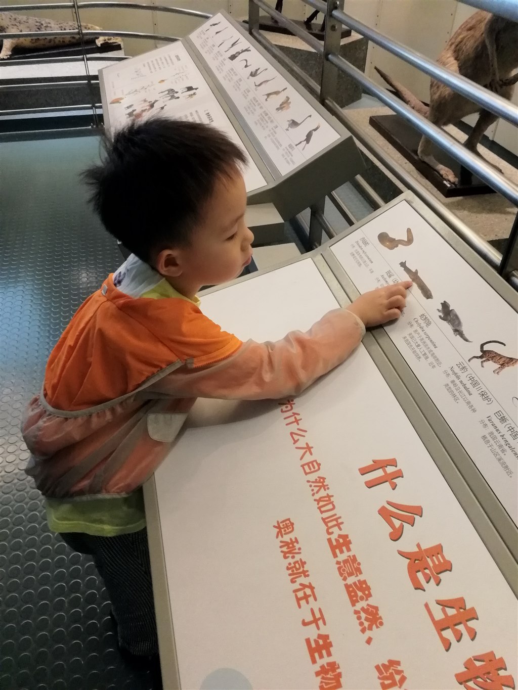 微信图片_20190214084704.jpg