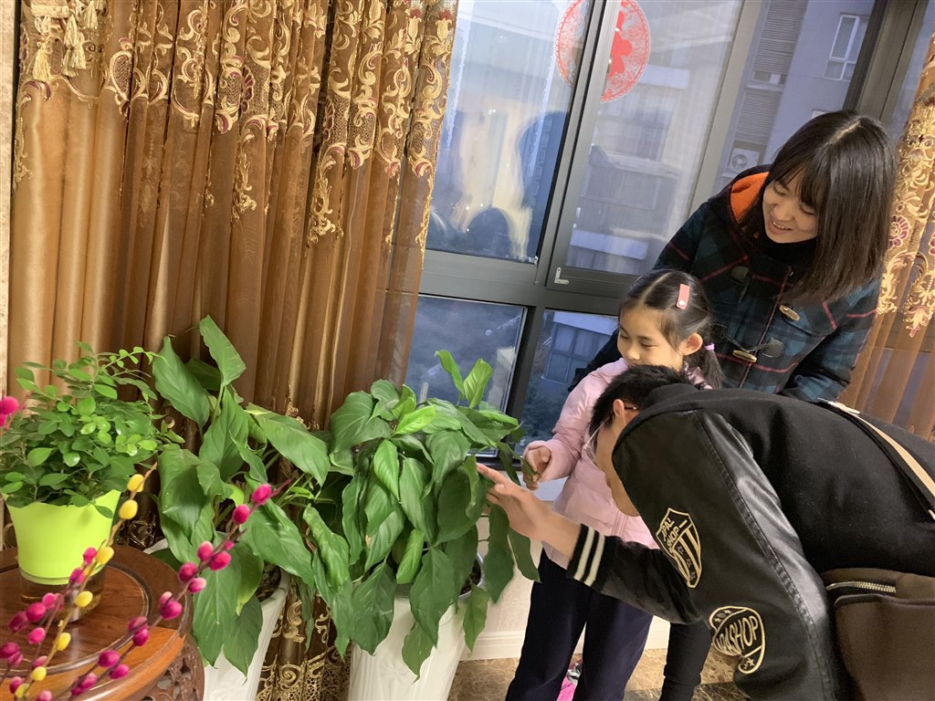 QQ图片20181205091558.jpg