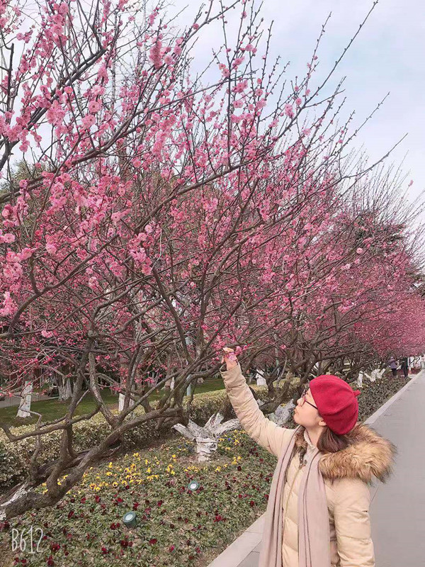 微信图片_20190308143429_副本.jpg