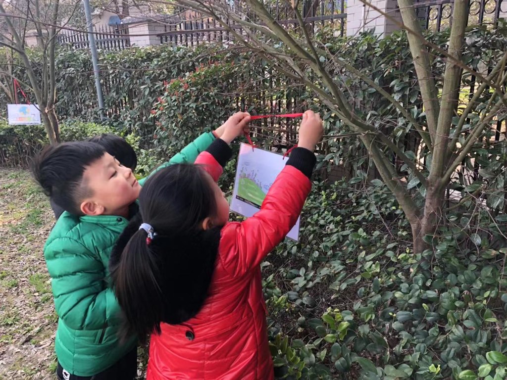 植树1.jpg