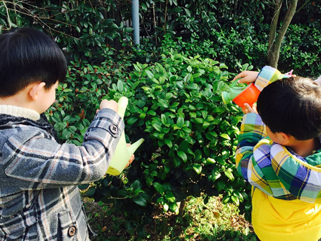 植树3.jpg