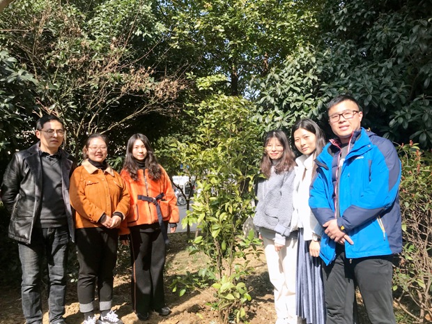 植树2.jpg