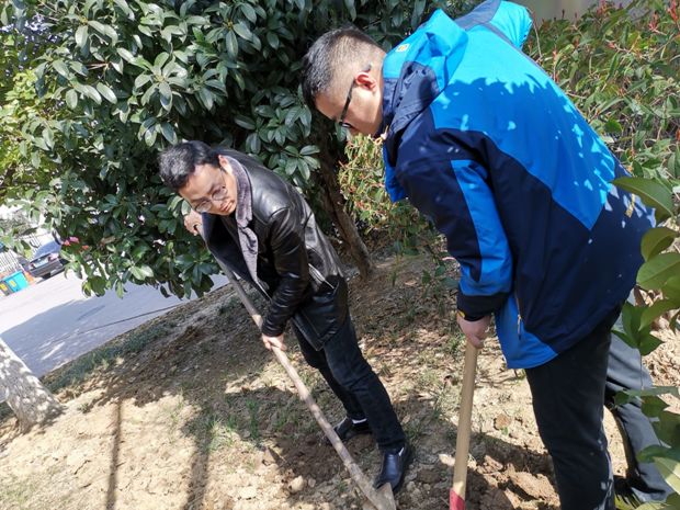 植树3.jpg