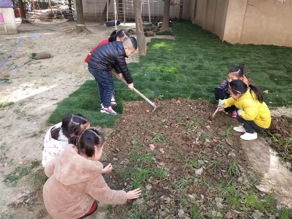 QQ图片20190312093406.jpg