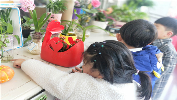 IMG20190312144216.jpg