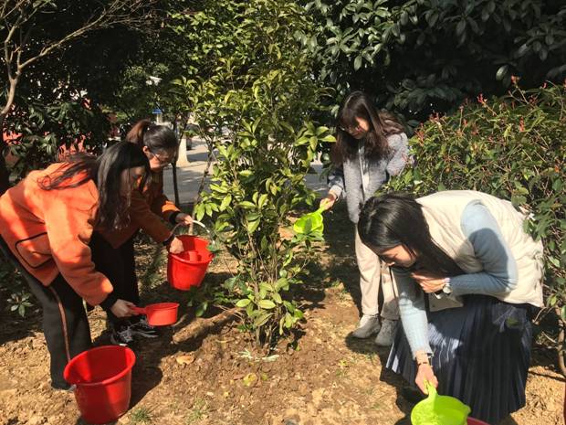 植树1.jpg