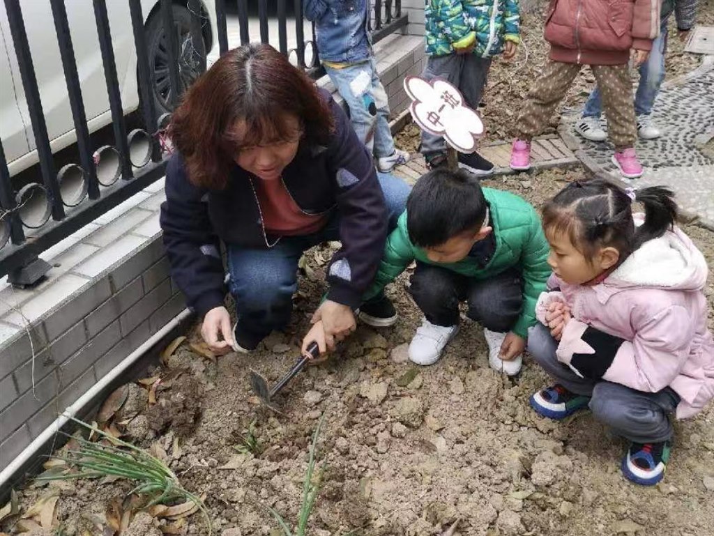 种植区3.jpg