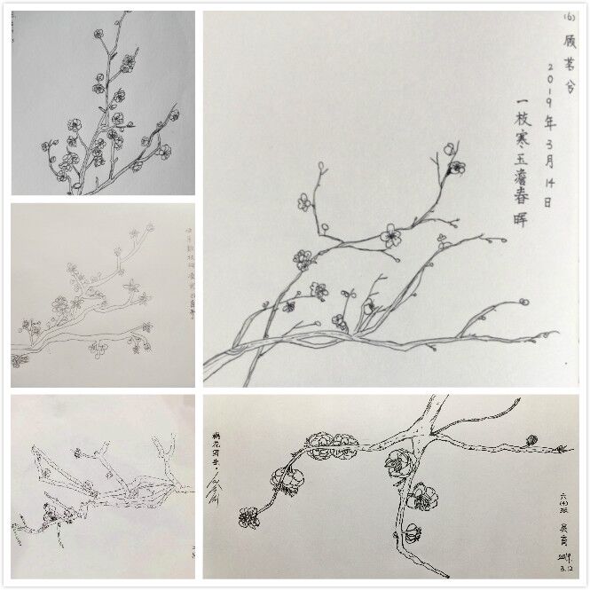 QQ图片20190318173815.jpg