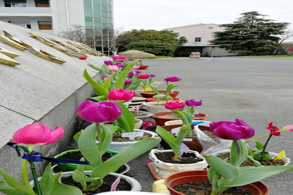 微信图片_20190320073914_副本.jpg