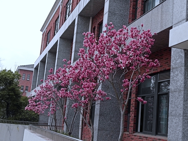 IMG_20190320_124948_副本.jpg