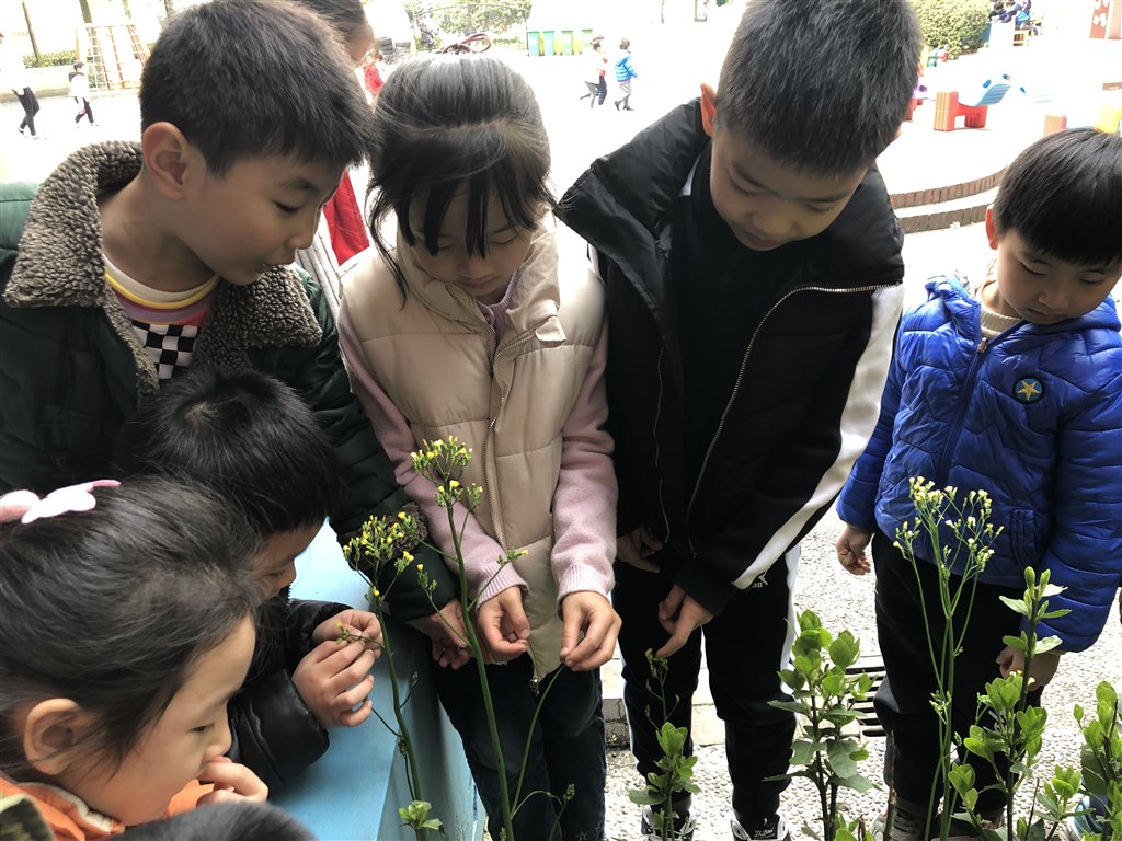 微信图片_20190319075617.jpg
