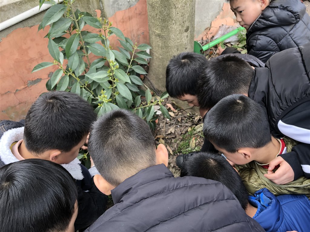 微信图片_20190319075540.jpg