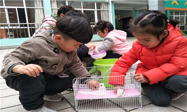 IMG20190322095451.jpg