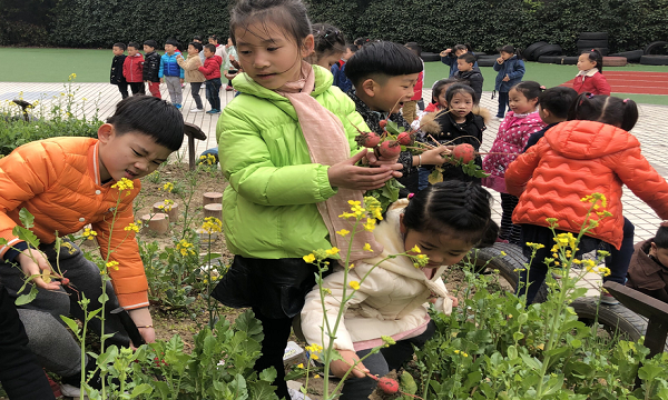 QQ图片20190327132502.png